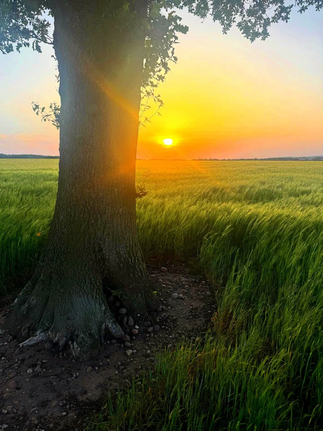 我平时的背景图都给你们了 #木偶 #背景素材 #蔚蓝档案 #溶图