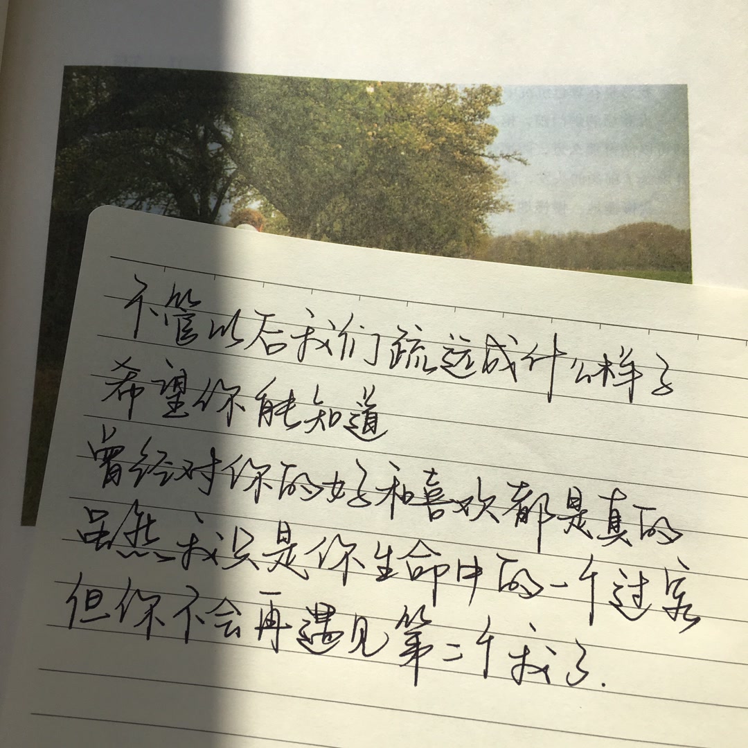 后来我明白了 就算我爱海也不能跳海#热门 #手写