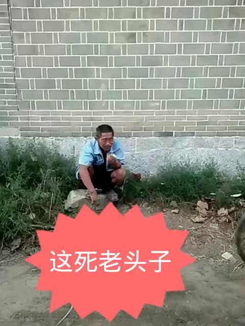 搞笑萌收集的主页-快手直播