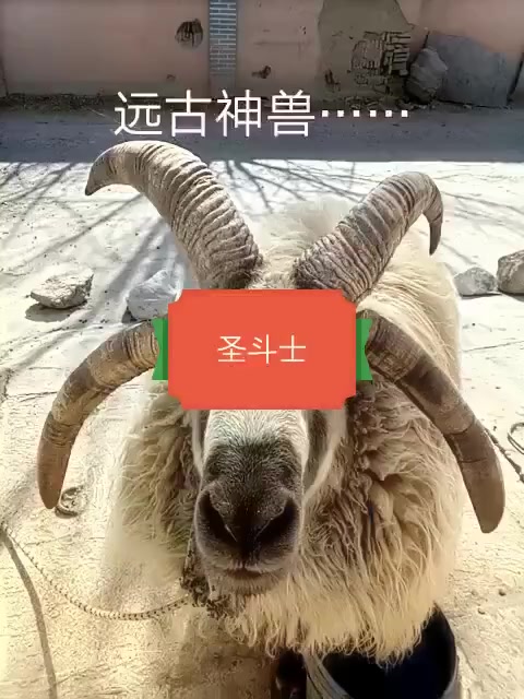 快手直播