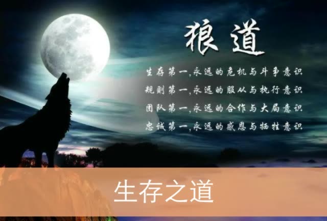 多少人喜欢狼,出来我看看     孤狼看似霸气,比较恨!