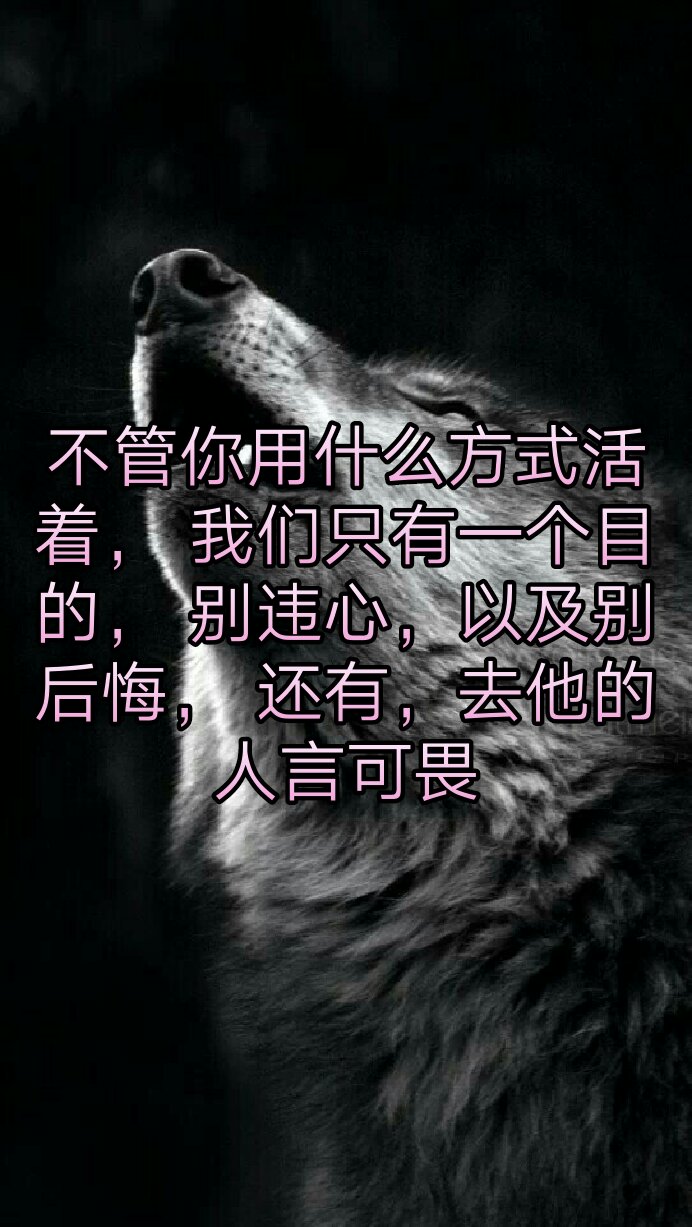 我们只有一个目的, 别违心,以及别后悔, 还有,去他的人言可畏 134