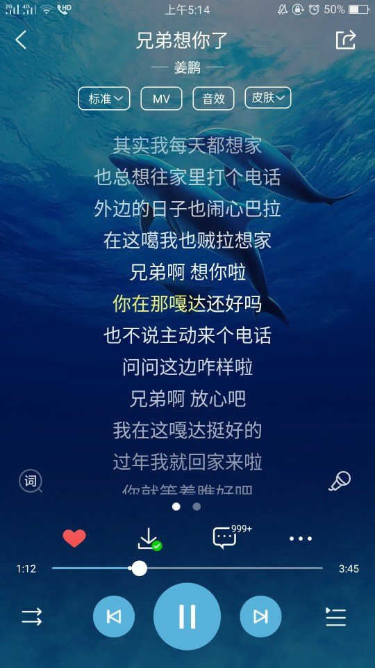 兄弟想你了 - 111彪哥的快手