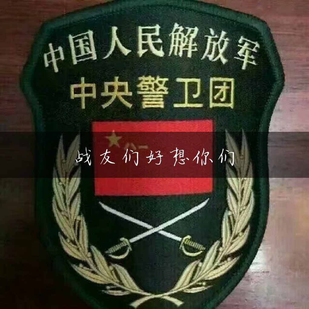 战友们好想你们以后不管我走到哪我都是中央警卫团的兵 小新哥哥bib