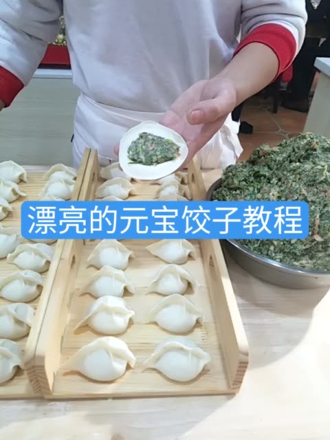 元宝饺子慢动作语音手势全面教程 给个赞吧谢谢大家 8.