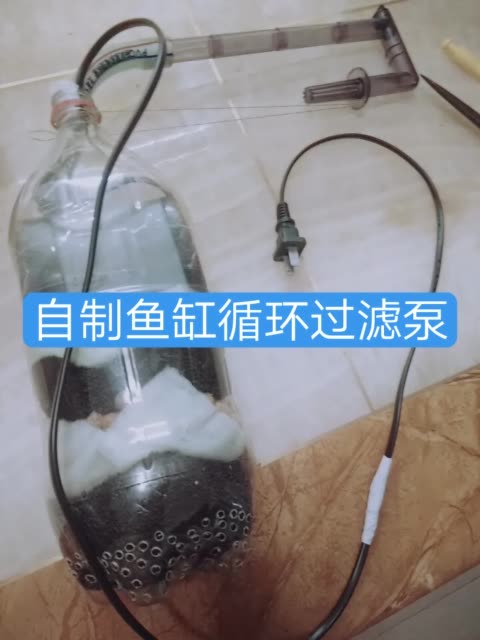 自制鱼缸循环过滤器,一会儿看效果 2年前