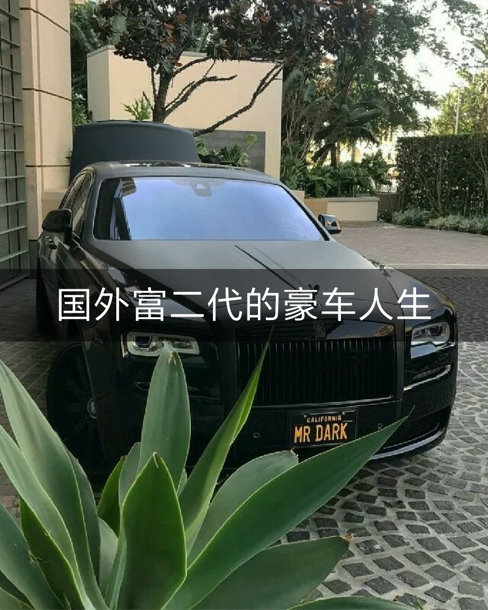 颠倒人生 豪车图片节奏硬曲每日更新喜欢双击加关注70 - 许民灿御用