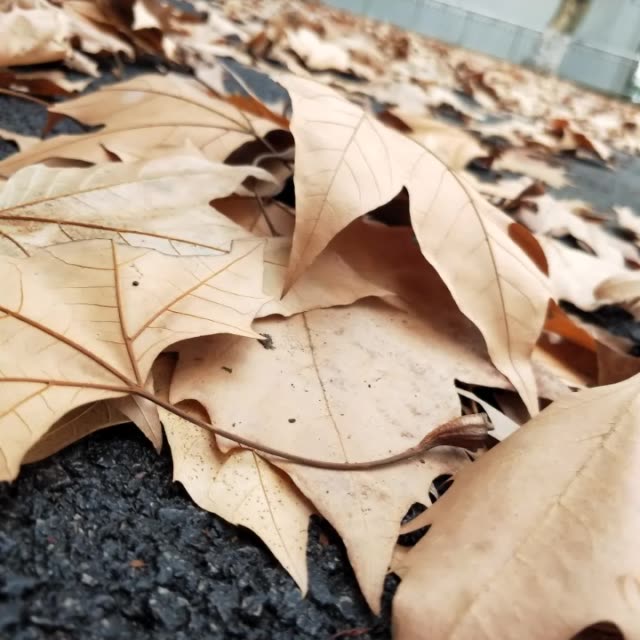半生风雨半身伤!半句别恨半心凉! 2年前