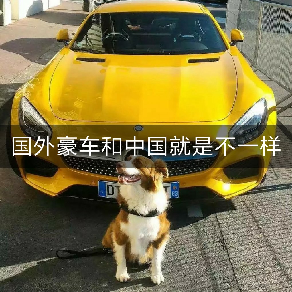 豪车图片 豪车视频节奏硬曲每日更新喜欢双击加关注91 - 许民灿御用