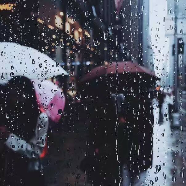 若你身陷雨中,愿有人为你撑伞;如果没有,也愿你有听雨的心情