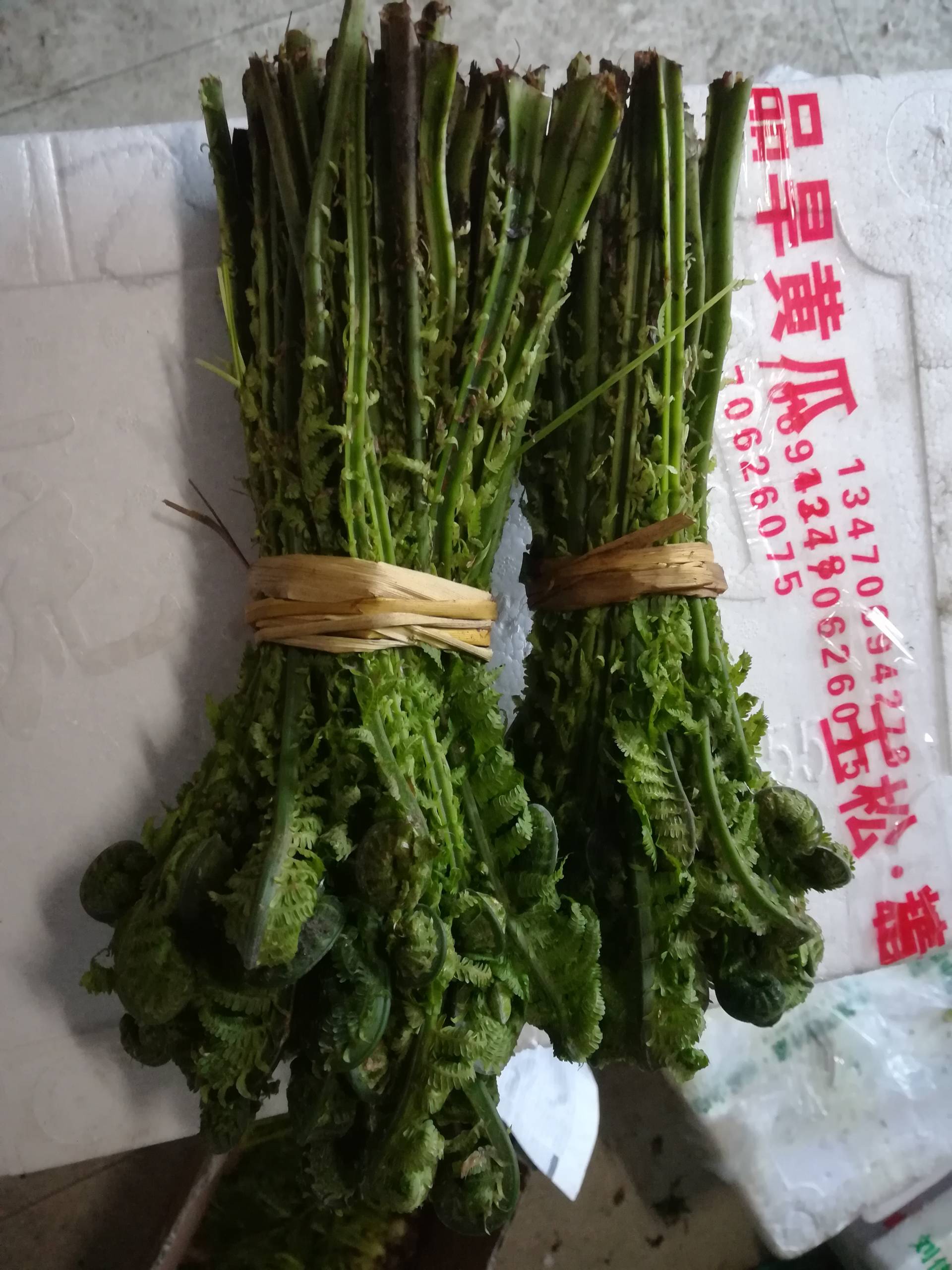 广东菜 - 大成子(山野菜第一人)的快手