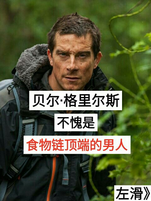 贝爷,站在食物链顶端的男人 喜欢贝爷的双击评论111 关注安雨晨看更多