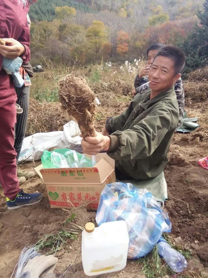 看看这大山葫芦贝三斤多 快乐人生29560的快手