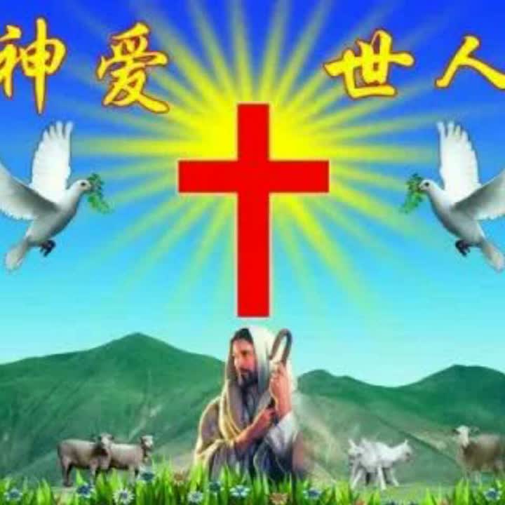 3 8 124 0 蒙爱的人2666天前 回复 蒙恩的柳儿:上帝赐福你 以马内利