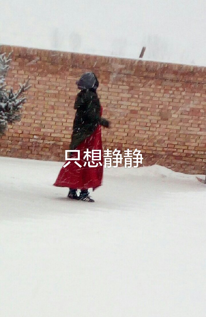 现在真的不知如何是好 无助 很累 只想静静地一个人呆