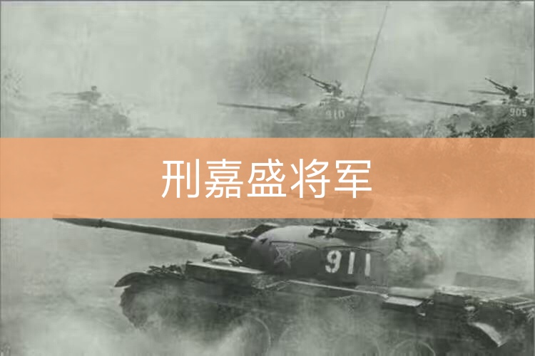 战后邢嘉盛还担任了湖南省军区副司令员职务,于1981年转任湖南省军区