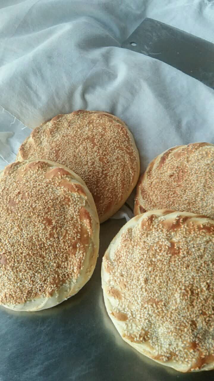 宁陵烧饼哥的快手
