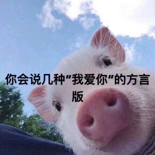 每天更新情感文字 喜欢双击加关注 歌名[7538] 原图 8350460 愿你喜