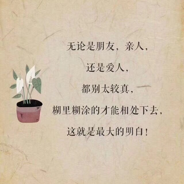 互不打扰,各自安好 9月前