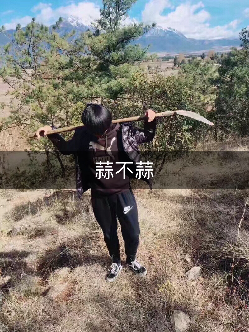 95的快手