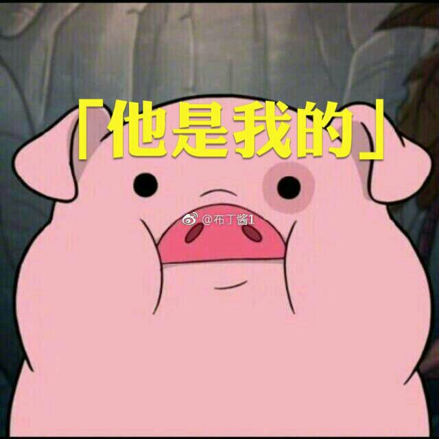 精致的猪猪女孩 9月前
