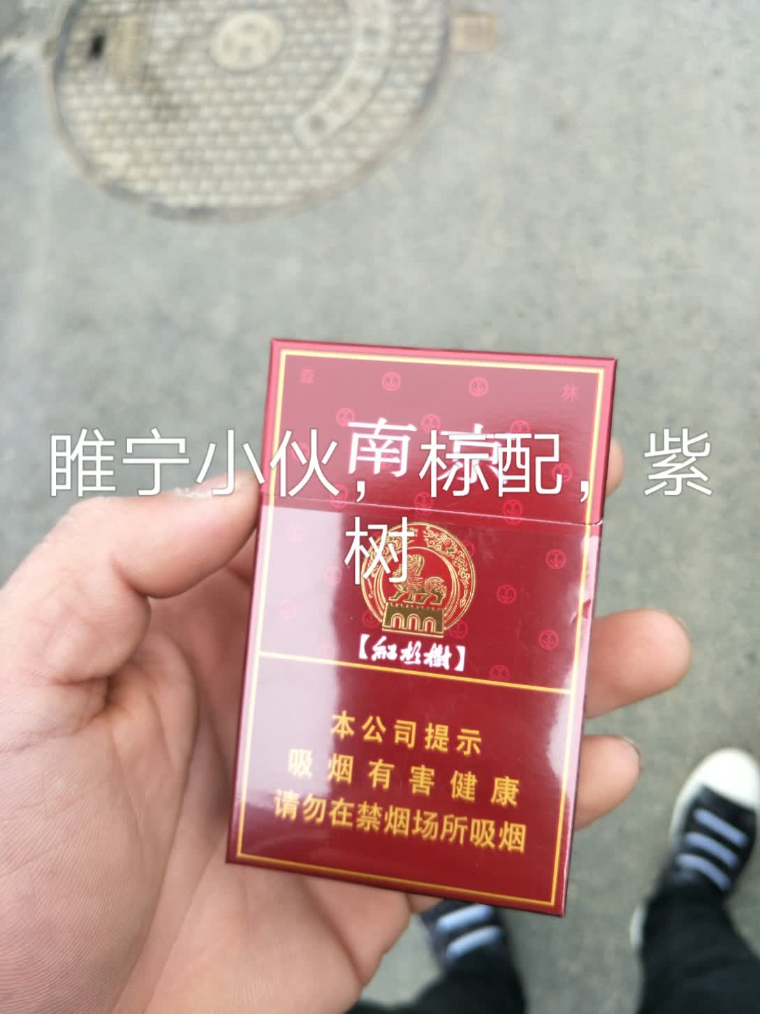 老表来尅阔紫树 561       赞                   评论