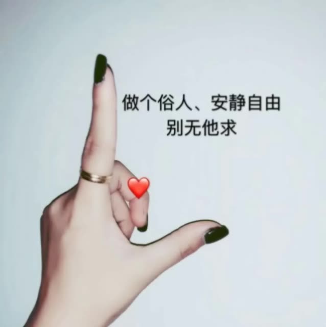 只想做个俗人,别无他求 9月前