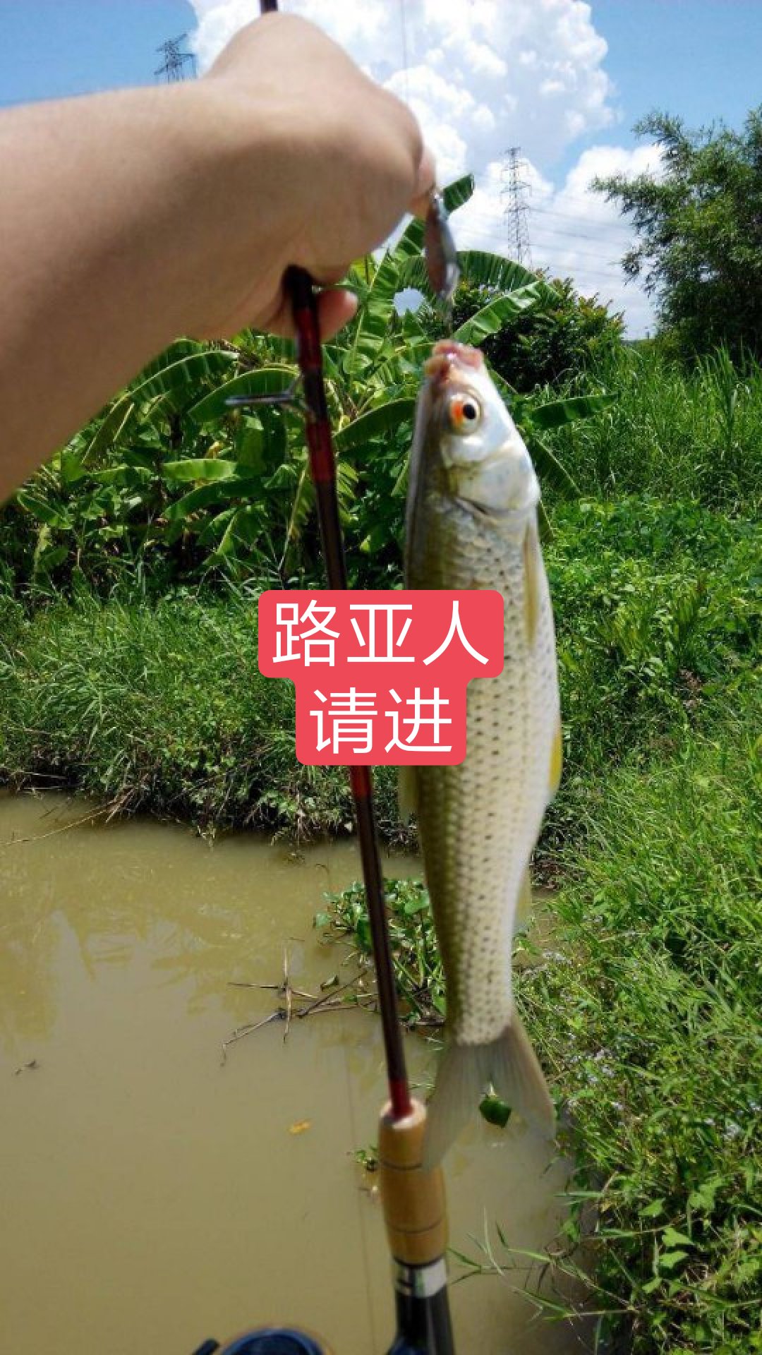 路亚人～彬的主页-快手直播