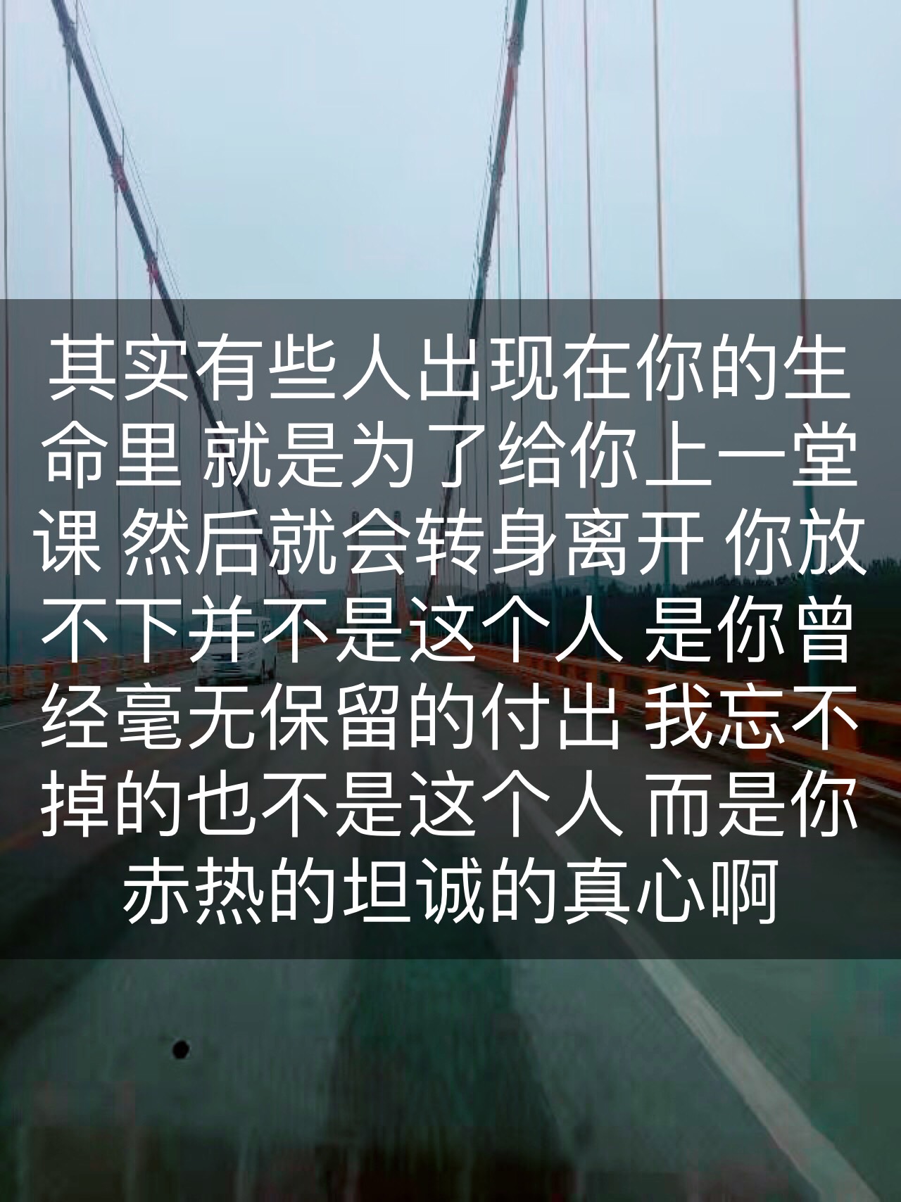 曾经多少人说不会离开,却输给了时间,败给了现实…… 49       赞