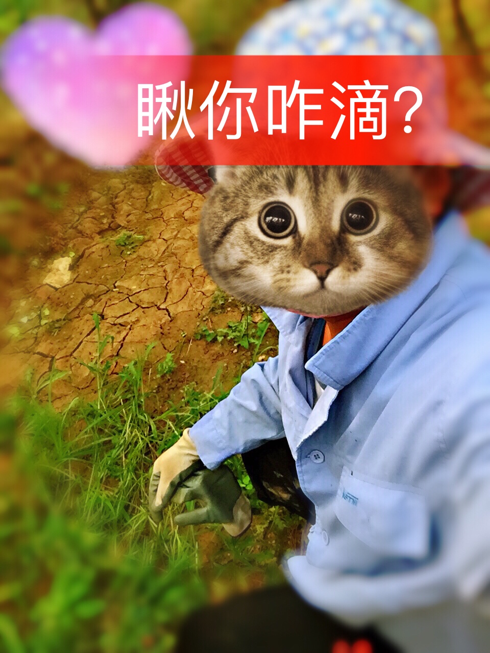 你瞅啥? 瞅你咋滴? 再瞅一个试试? 试试就试试!