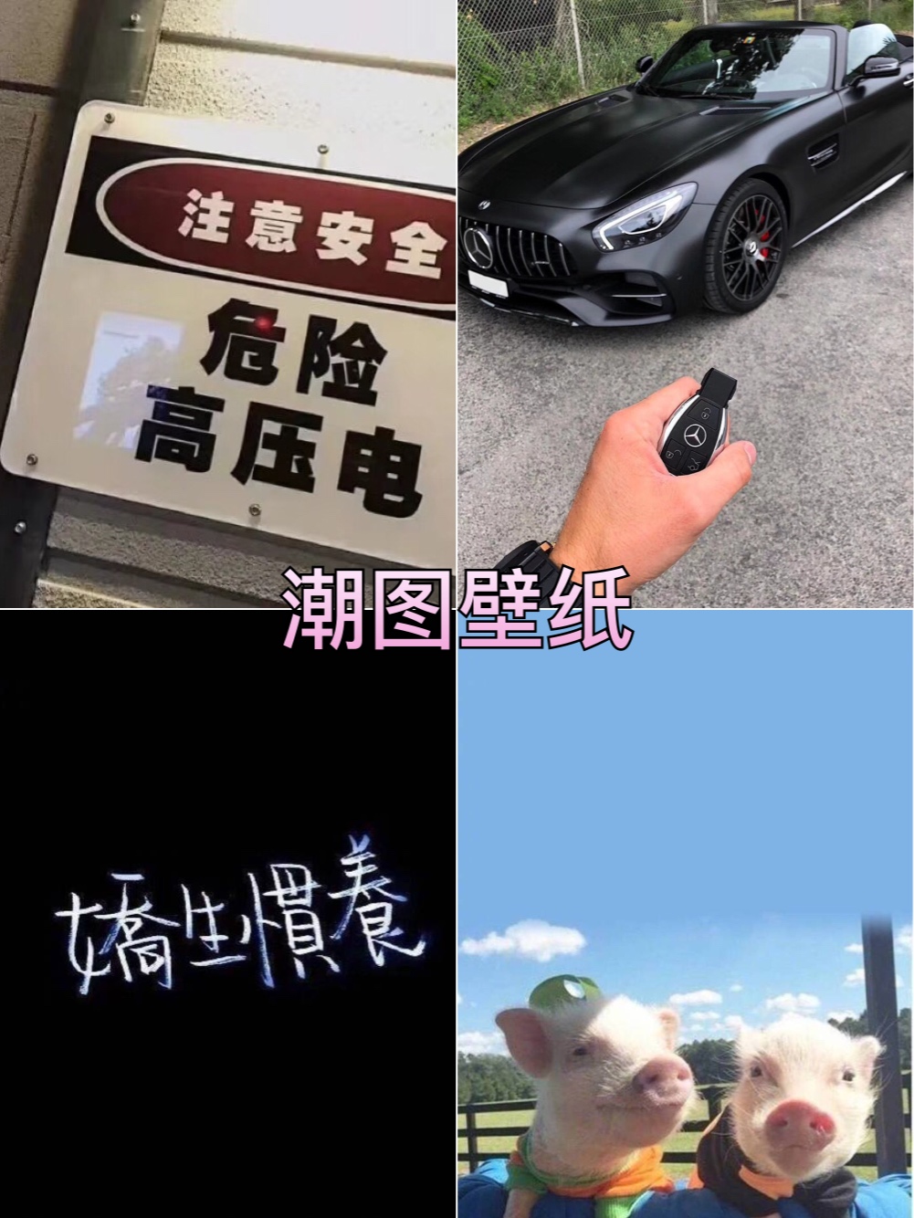快手,记录世界 记录你