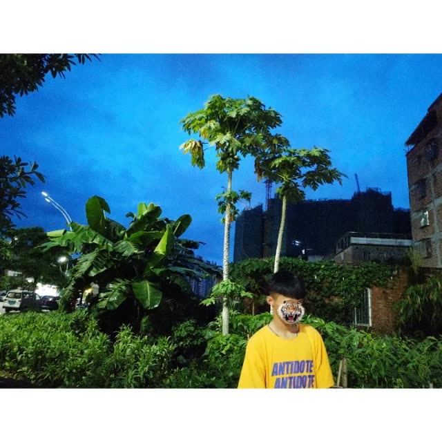 潘国杰.的主页-快手直播