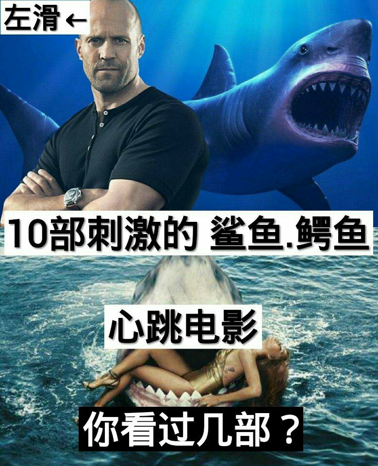 你看过哪几部  喜欢看鲨鱼鳄鱼电影的双击 关注