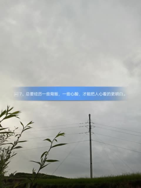 7,总要经历一些背叛,一些心酸,才能把人心看的更明白.