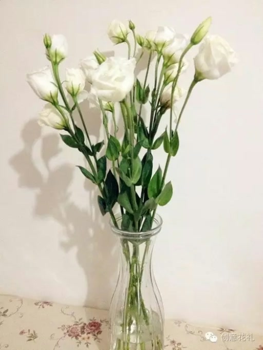 白色桔梗花的花语—永恒的爱/无望的爱. 5月前