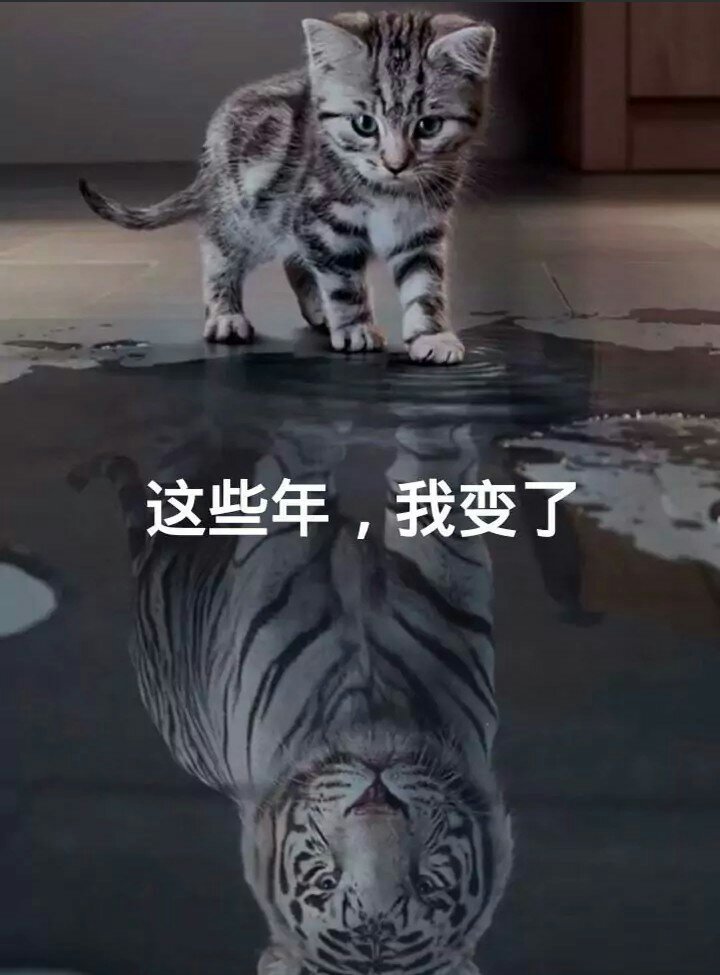 我变了