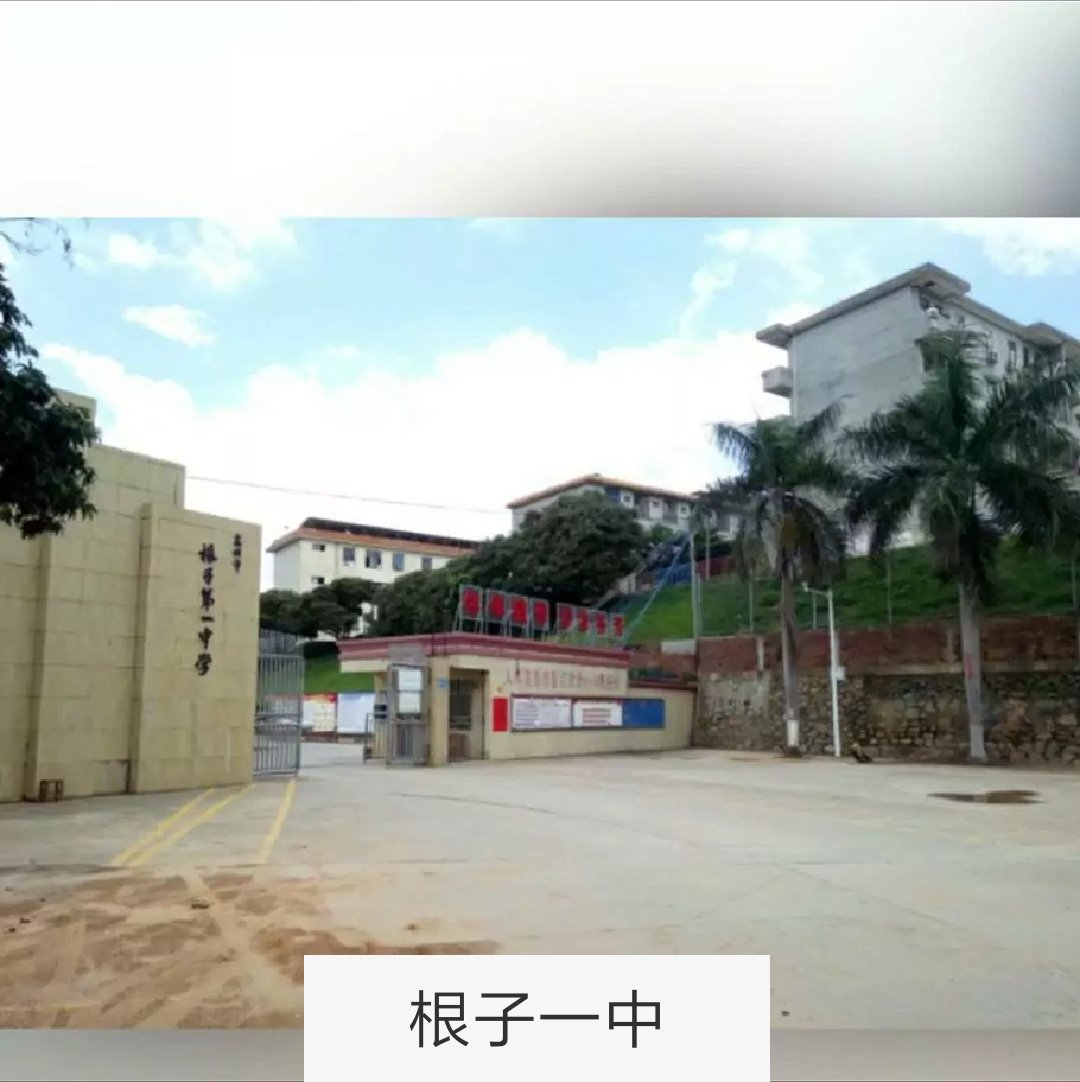 明晚根子一中见 152       赞                   评论