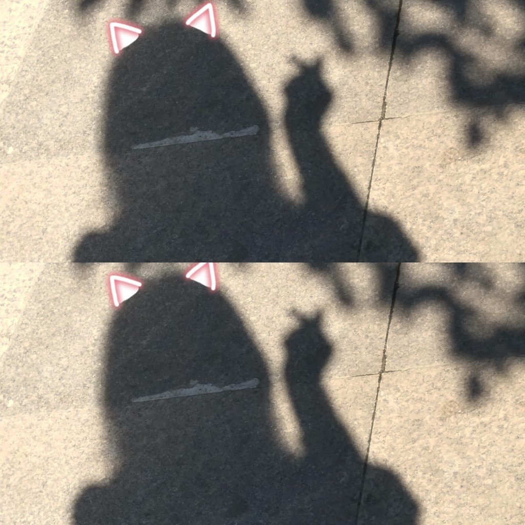 什么样的终点才配得上一路的颠沛流离_ 4月前
