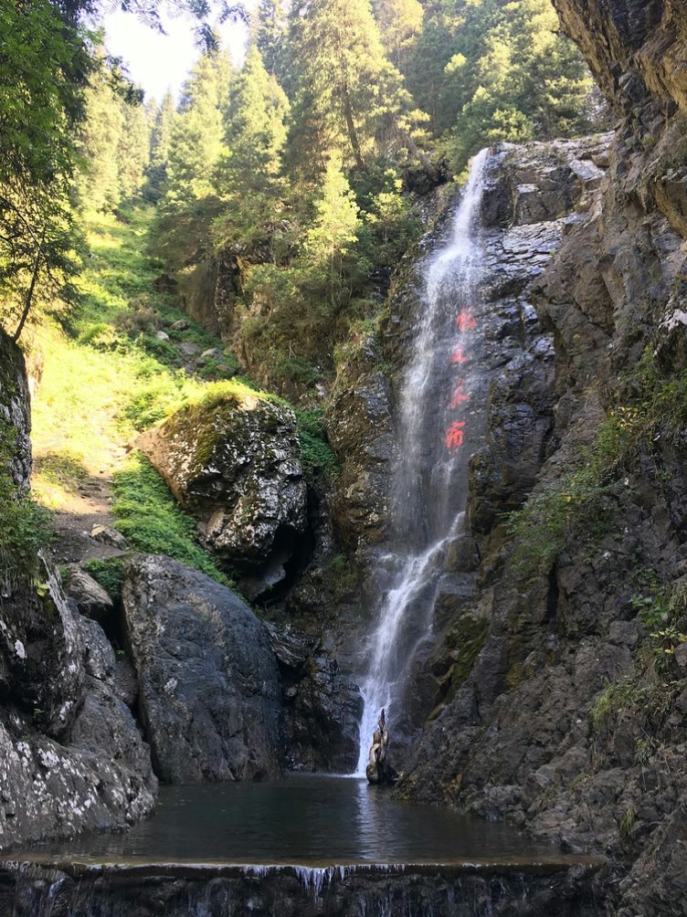 贵清山森林公园