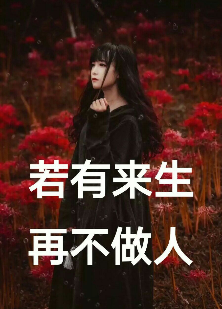 10天前 只想做一棵白莲花 3 6 100 0 来生不做人 66666 99