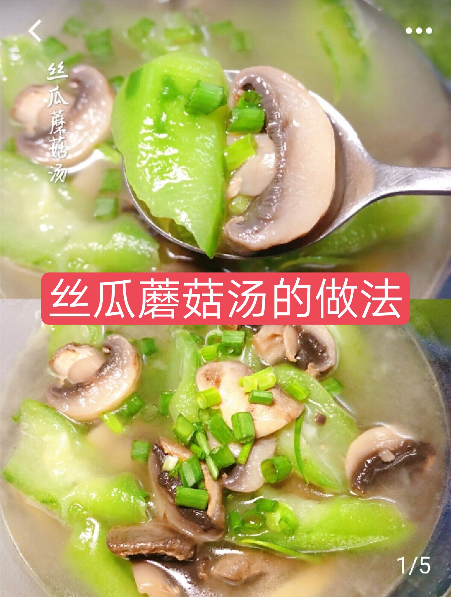 96美食可治愈一切系列之【丝瓜蘑菇汤】做法在后面