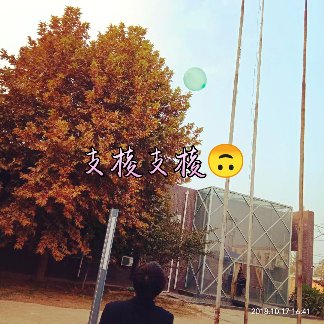 支棱起来了 1月前