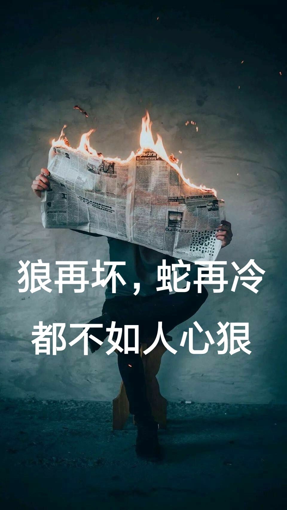 每天人生语录的快手