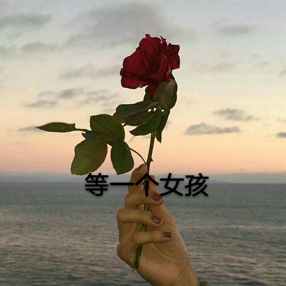 其实每个人都渴望爱情 害怕孤独 害怕辜负. #柠七文字# 1月前