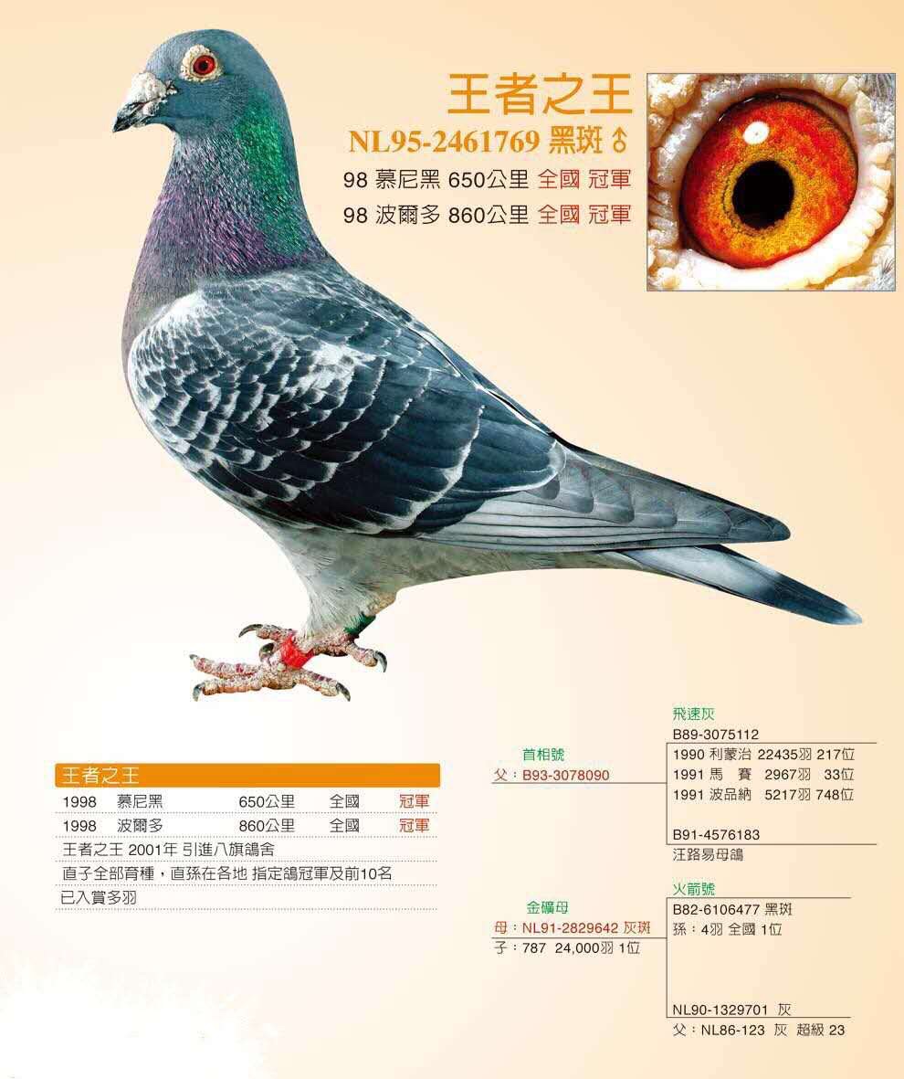 王者之王,王者之王之子,2000年卡普冠军,04卡普决赛4名 3周前