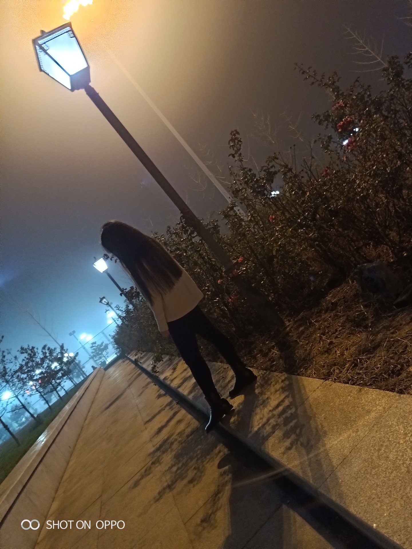 蹲下来摸摸自己的影子   对不起跟着我受苦了 2月前