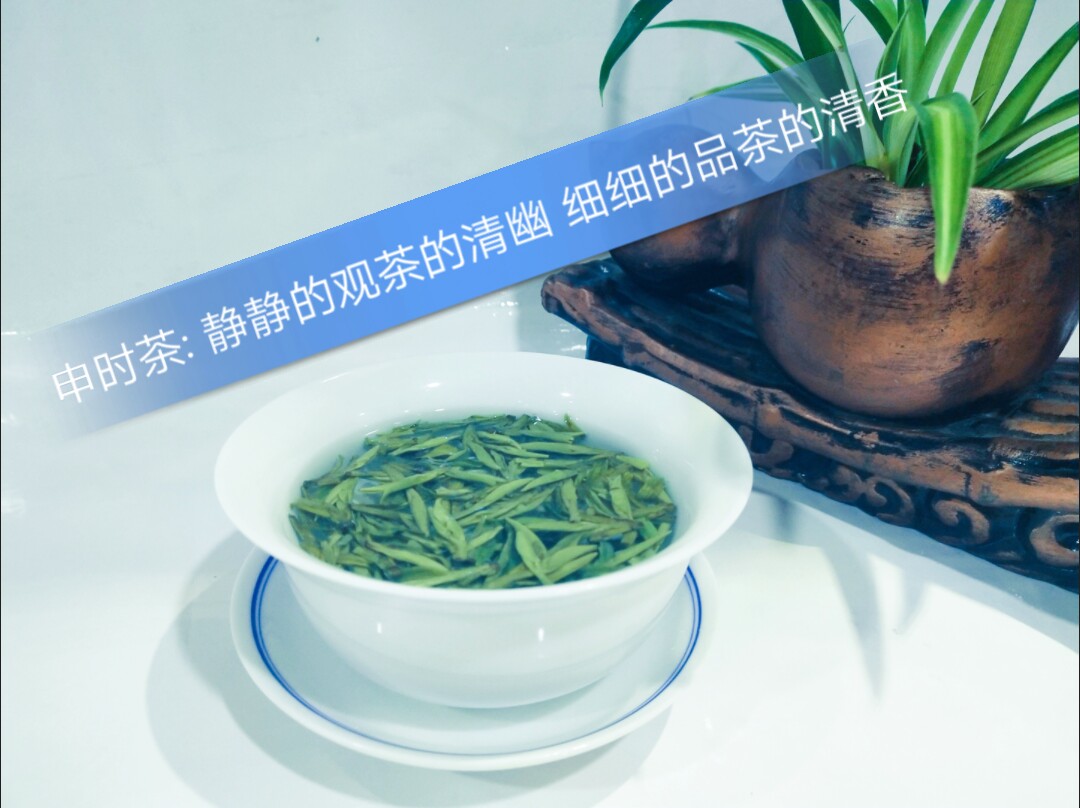 申时茶: 静静的观茶的清幽 细细的品茶的清香 4天前