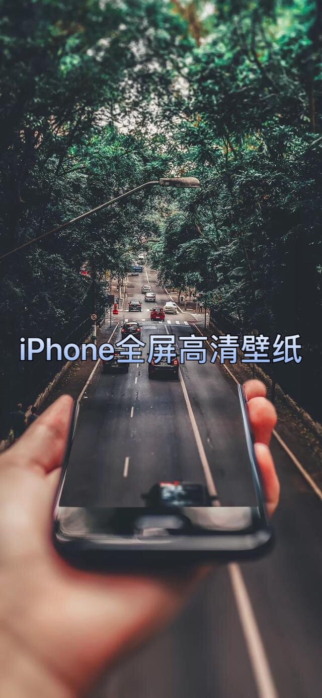 壁纸收集馆艺艺的主页-快手直播