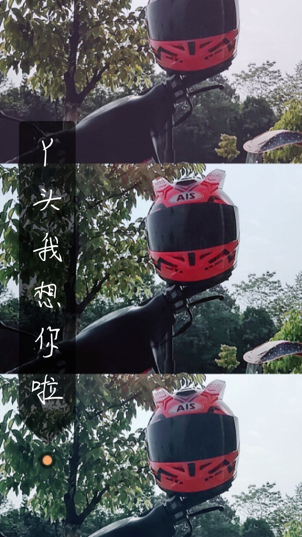 丫头,想你啦 7天前