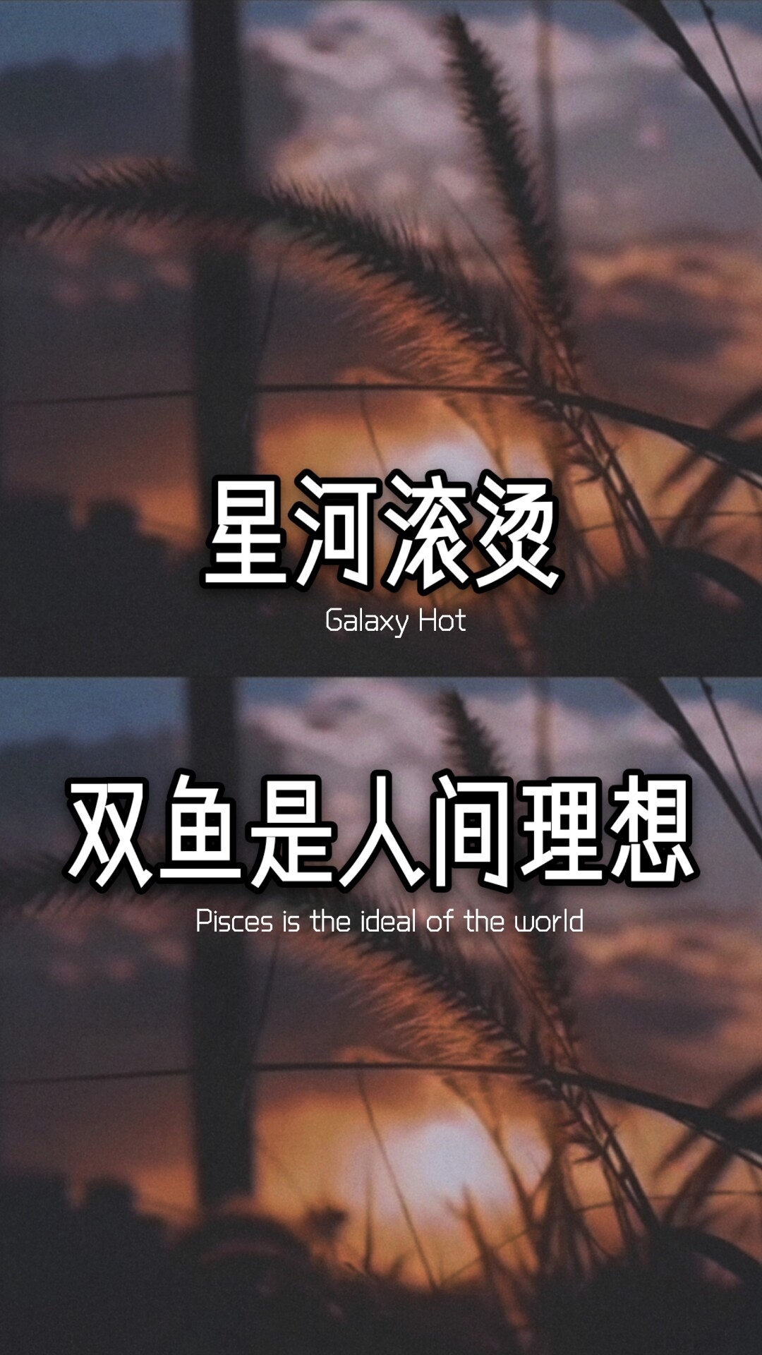情感语录 #情感文字 #感谢快手我要上热门 #爱官方爱热门  19.